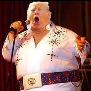 Meet your Posher, Fran